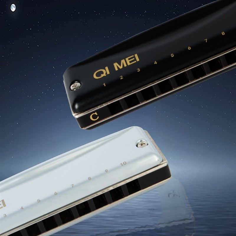 奇美黑霸王布鲁斯口琴孔演奏版初学者学生自学蓝调十孔口琴