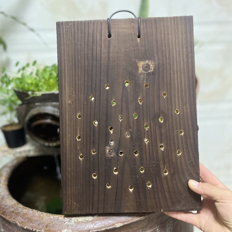 加厚实木碳化鹿角蕨挂板  石斛背板实木碳化上板植物板植壁挂