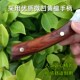 高硬度64 66手工制作嫁接刀园林果树芽接刀园艺盆景盆栽嫁接工具