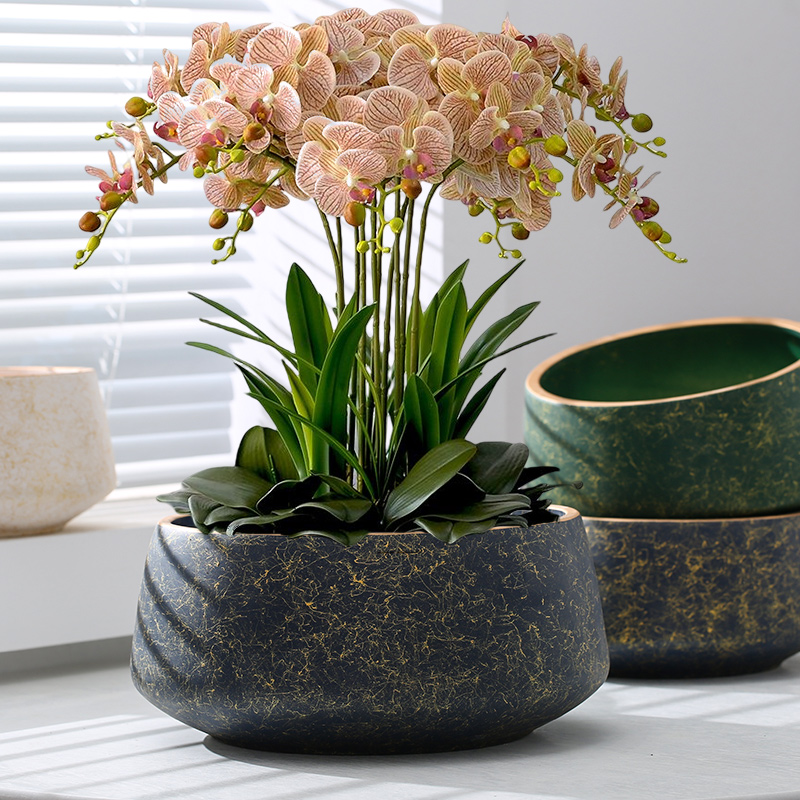 网红花盆陶瓷白色蝴蝶兰专用盆北欧简约桌面绿植室内盆栽兰花套盆