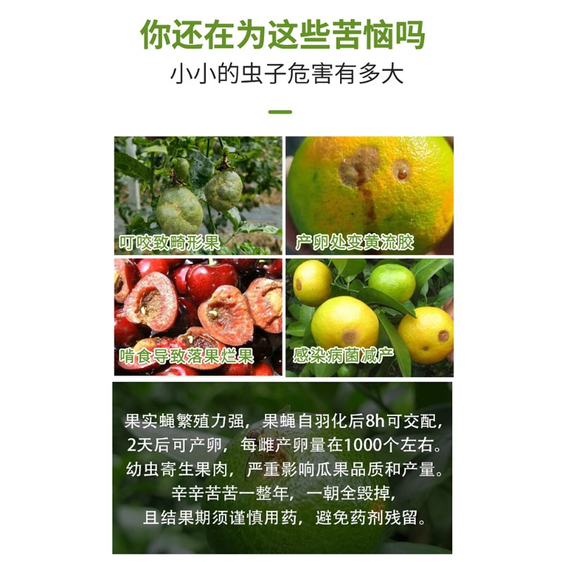 果攸果蝇诱粘剂 粘蝇纸瓜实蝇 苦瓜丝瓜柑橘蔬菜针蜂果实蝇苍蝇