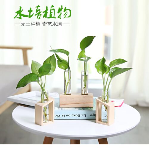 玻璃花瓶创意水培植物绿萝容器皿小清新透明瓶子室内桌面装饰摆件