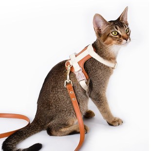 猫咪牵引绳防挣脱外出专用工字形背心式高皮革档蓝猫缅因猫德文