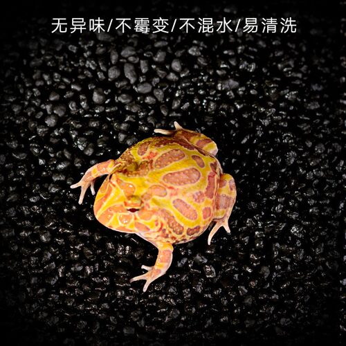 爬宠爬虫角蛙泥垫材 角蛙垫材底材两栖蛙泥黑色底泥蛙类垫材