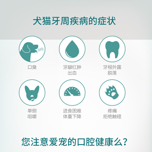 法国维克复合酶牙膏猫咪狗狗牙刷套装除口臭牙结石宠物刷牙可食用