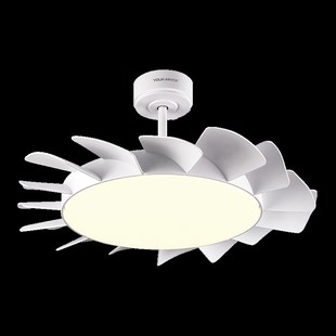 佑家全光谱变频风扇灯吊灯餐厅简约时尚卧室LED遥控客厅吊扇灯