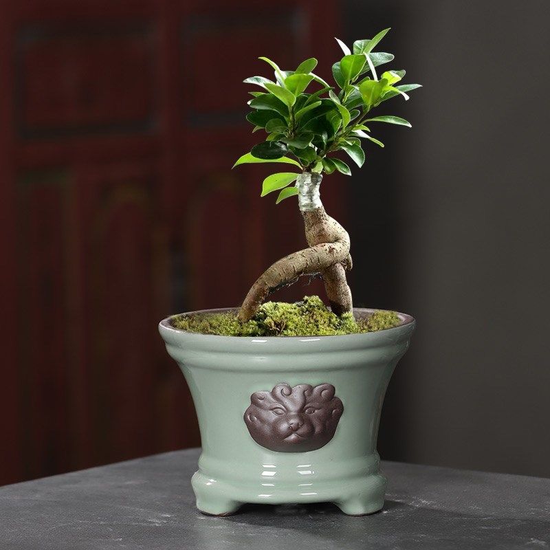 创意造景多肉花盆陶瓷新款吊兰盆栽绿植蝴蝶兰专用个性中国风紫砂,鲜花速递/花卉仿真/绿植园艺,花盆,淘宝优惠券,粉丝福利购,淘宝优惠卷