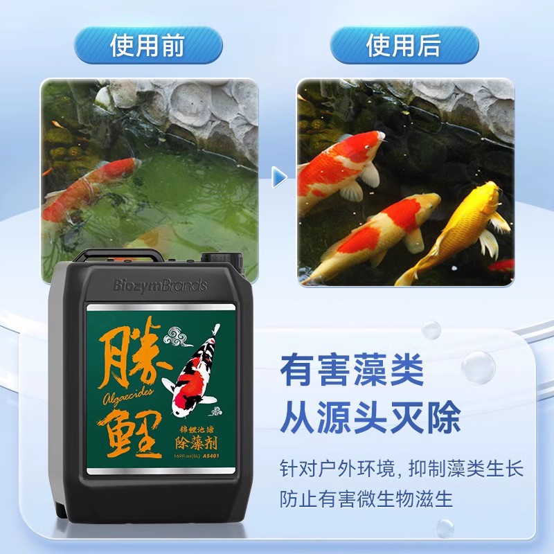 百因美胜鲤硝化细菌锦鲤鱼池水质清澈剂除藻剂净水剂鱼缸水质稳定