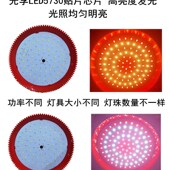 led生鲜灯卤菜店专用灯熟食卤肉灯海鲜水果灯鸭货灯凉菜快餐灯