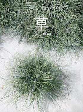 仿真绿植草垛草丛 室内景观造景搭配落地小草弯草蒲草堆