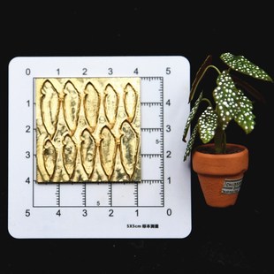 di微缩绿植秋海棠 树脂黏土叶纹理叶脉铜板压模翻糖叶子铜制模具