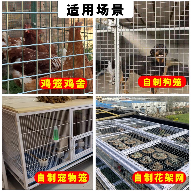加粗镀锌铁丝焊接网片养鸡狗鸟兔笼鸽舍网格养殖围栏防护隔离网
