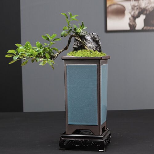 紫砂兰花花盆创意高桩六月雪悬崖桩精品透气绿植盆景吊兰多肉花盆