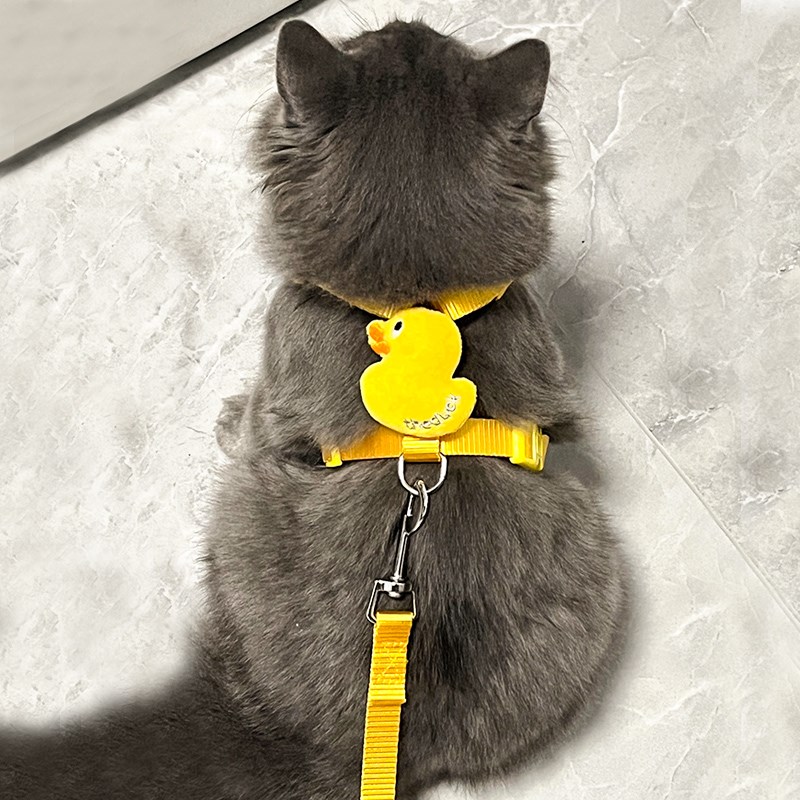 猫咪牵引绳高颜值防挣脱外出专用胸背款防走丢可调节宠物溜猫绳子