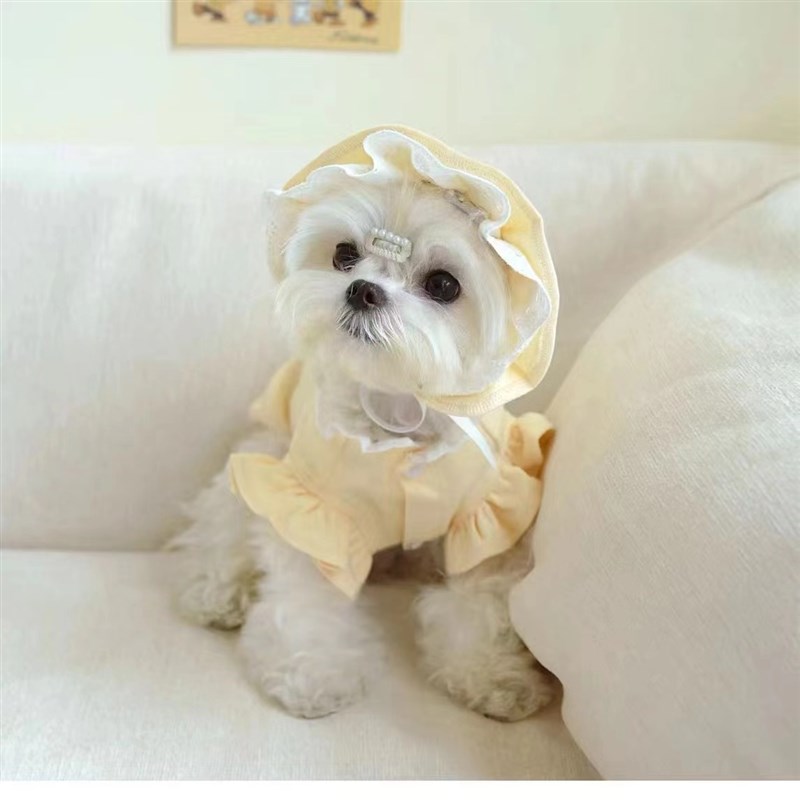 新款可爱舒适春夏泰迪博美小中型犬宠物狗狗猫咪幼犬公主衣服套装