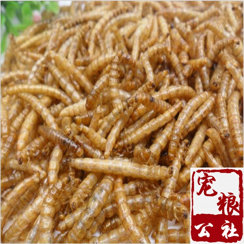 仓鼠粮食面包虫干黄粉虫八哥鹩哥零食刺猬饲料龙鱼乌龟鸟粮龟粮