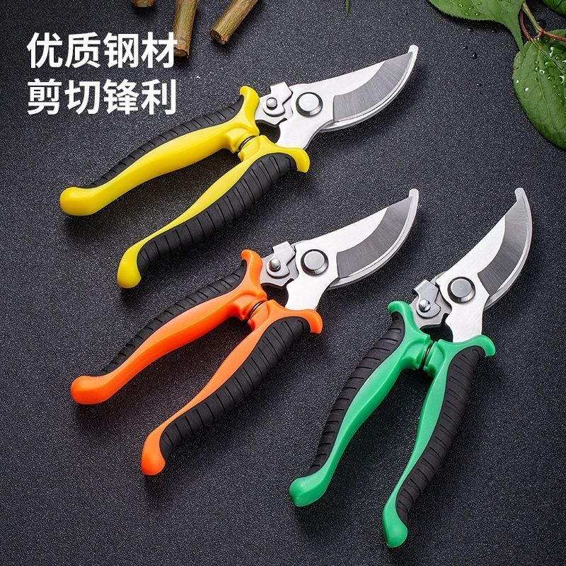 不锈钢园艺剪刀剪竹签花卉采摘葡萄蔬果剪子园林果树专用修枝剪