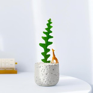 鱼骨令箭多肉植物盆栽仙人掌科花卉室内桌面四季好养锯齿昙花绿植