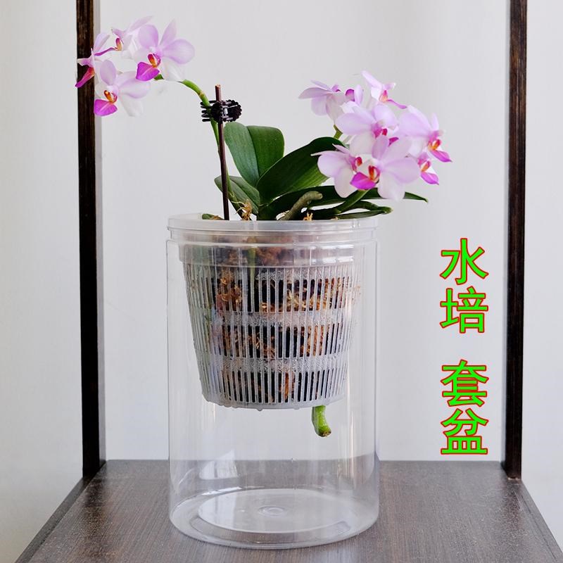 蝴蝶兰专用花盆透气养根控根半水培免浇水内外桶透明套盆