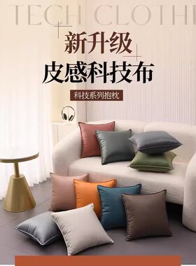 轻奢科技布抱枕爱马橙色沙发靠枕高级感客厅靠垫舒适车载腰枕枕套