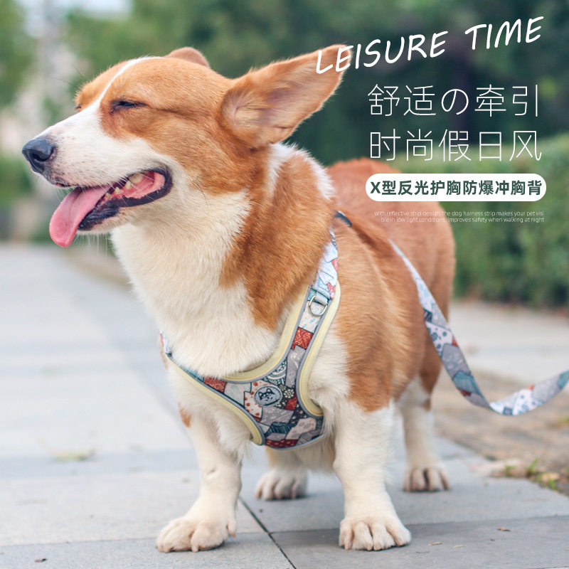 透气柔软狗狗胸背带背心式牵引绳中小型狗泰迪柯基雪纳瑞胸背幼犬