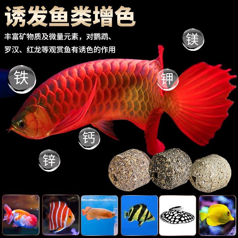 晓之鱼高温丸子心钻滤材鱼缸过滤材料培菌水族箱生化净水原矿滤材,宠物/宠物食品及用品,过滤材料,淘宝优惠券,粉丝福利购,淘宝优惠卷