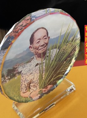感动中国人物袁隆平画像周边纪念品水晶摆件手工工艺品书房摆设品