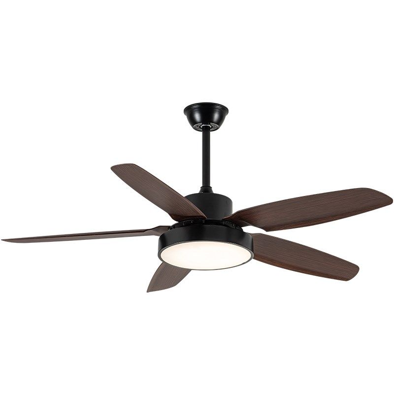 吊扇灯风扇灯2024新款风扇吊灯餐厅客厅卧室家用吸顶灯一体大尺寸