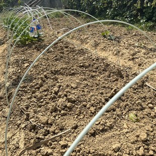 小拱棚杆 玻纤杆 支架杆玻纤棒锚固棒工地地钉 15mm 7mm