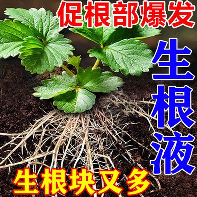 树木专用生根粉多灵菌大果树移栽扦插专用生根药水复活液枯树再生