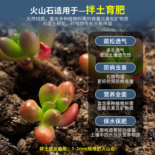 火山石鱼缸古法养鱼滤材专用造景底砂装饰石头水草泥天然底沙颗粒