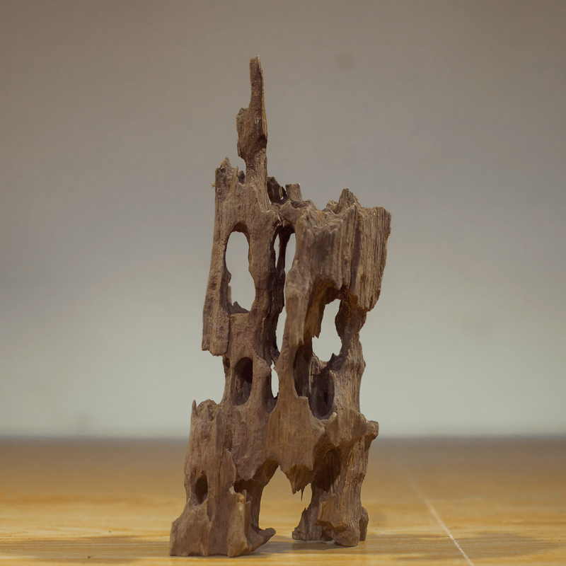 鱼缸中小型虾木 草缸南美造景沉木 蜂窝木水族箱装饰树桩免煮小号