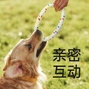 中恒狗狗玩具耐咬球磨牙拉环弹力橡胶球实心宠物边牧金毛逗狗神器