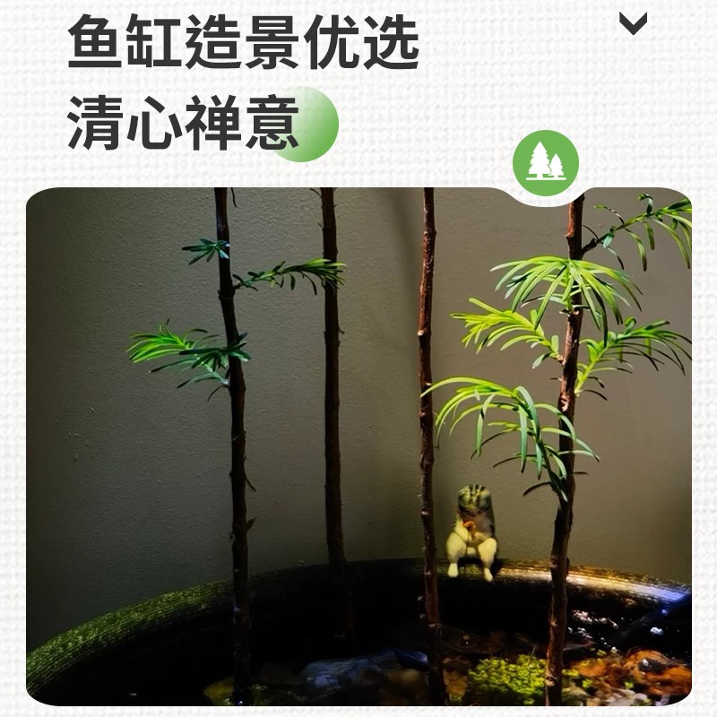 水杉鱼缸造景水培溪流缸盆栽盆景鱼池水生植物绿植室内外水草客厅图片