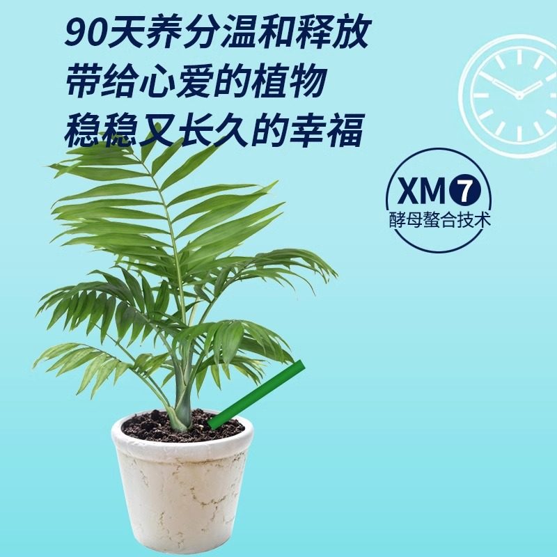 植物营养缓释片多肉月季花兰花植物花卉通用型盆栽肥料营养棒状肥,鲜花速递/花卉仿真/绿植园艺,家庭园艺肥料,淘宝优惠券,粉丝福利购,淘宝优惠卷