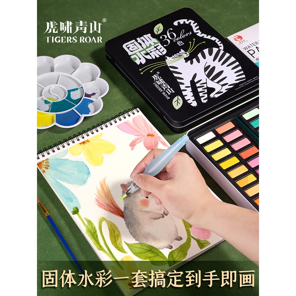三年二班固体水彩颜料36色48色速写水彩套装美术专用色粉水粉画珠