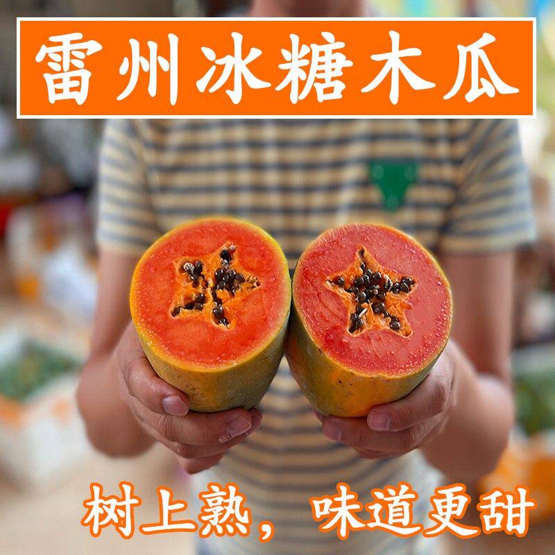 树上熟 雷州冰糖木瓜绿符老树红心木瓜当季新鲜水果8/5/3斤包邮