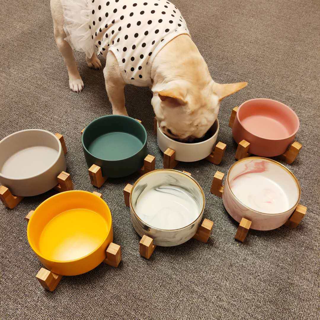 狗碗猫碗宠物陶瓷食盆饭盆狗狗喝水碗猫粮碗实木防打翻法斗泰迪,宠物/宠物食品及用品,猫狗碗/慢食碗,淘宝优惠券,粉丝福利购,淘宝优惠卷