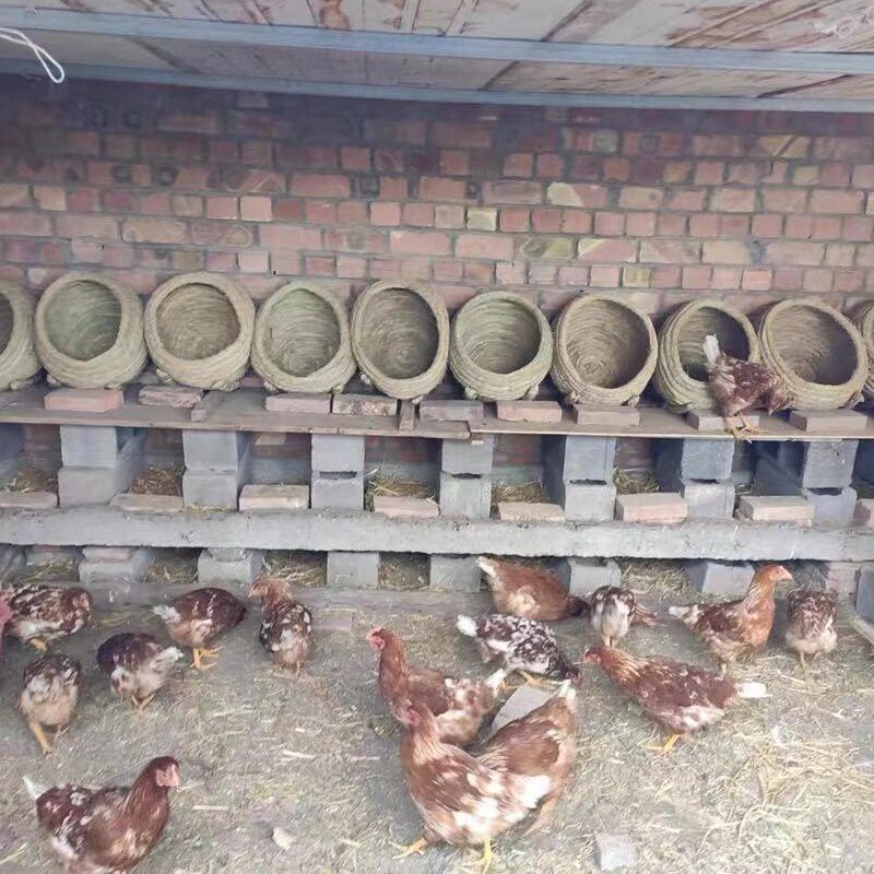 鸡窝草编母鸡加厚稻草家用四季大号户外产蛋鸽子鸡窝下蛋窝 家用