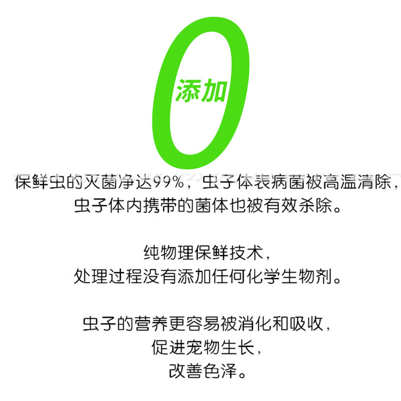 诺茵爬宠保鲜昆虫面包虫蛐蛐蟋蟀罐头鬃狮肉食蜥蜴蛇半水龟昆虫粮图片