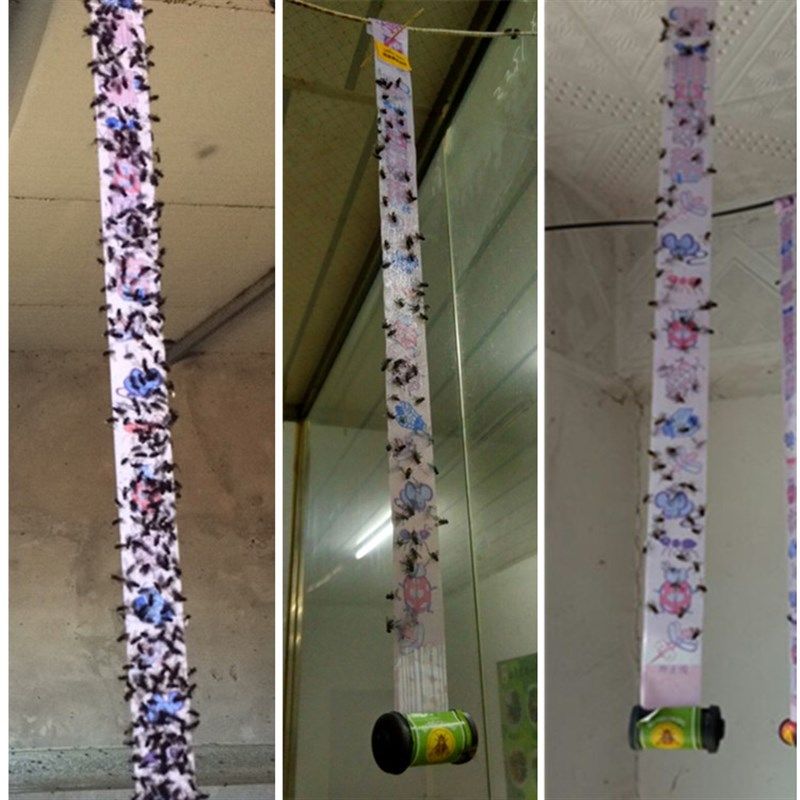 粘蝇彩带条灭杀苍蝇贴纸强力蚊虫胶神器粘蝇板苍蝇药笼拍灯香包邮,居家日用,粘蝇纸,淘宝优惠券,粉丝福利购,淘宝优惠卷