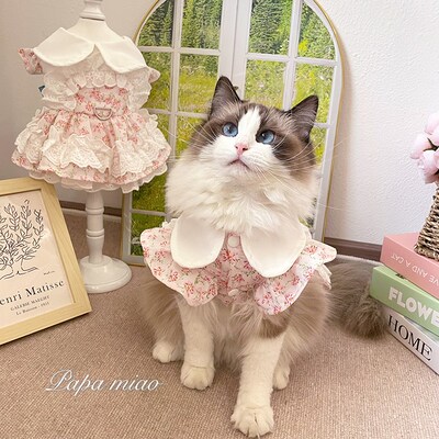 猫咪狗狗碎花连衣裙宠物春夏衣服可牵引茶话会粉桃花泰迪比熊布偶
