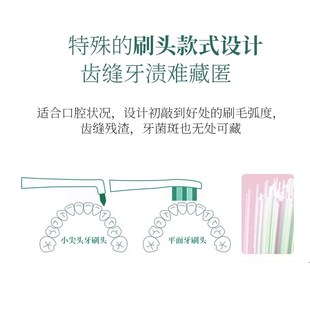 通吃猫成人电动牙刷替换头常规正畸头牙缝尖头刷牙周充电式全自动