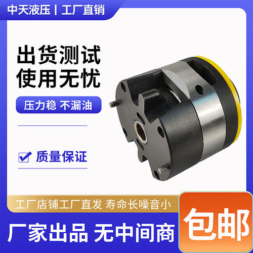 叶片泵泵芯配件20V-2/3/4/5/6/7/8/10/11/12/14液压油泵配件大全