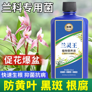 兰灵王兰花专用营养液兰科专用肥料菌蝴蝶兰君子兰花卉黄叶克星建