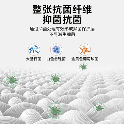 床垫软垫床褥垫褥子铺床单双人家用保护垫薄垫褥防滑学生宿舍垫被