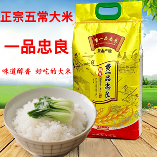 东北五常大米一品忠良10斤黑龙江长粒稻香米粳米长粒香米清香米