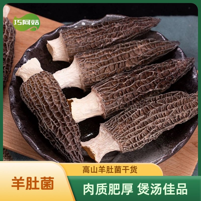 巧阿菇羊肚菌 精选2026头茬干货 肉质肥厚 煲汤佳品