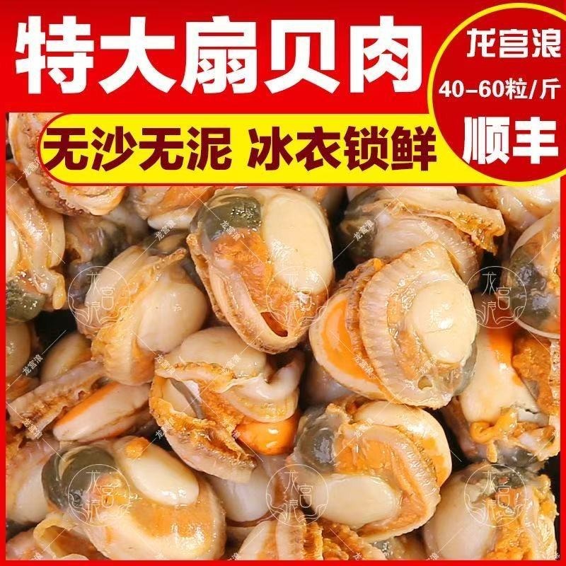 顺丰到手40-60特大扇贝肉干净无沙新鲜冷冻
