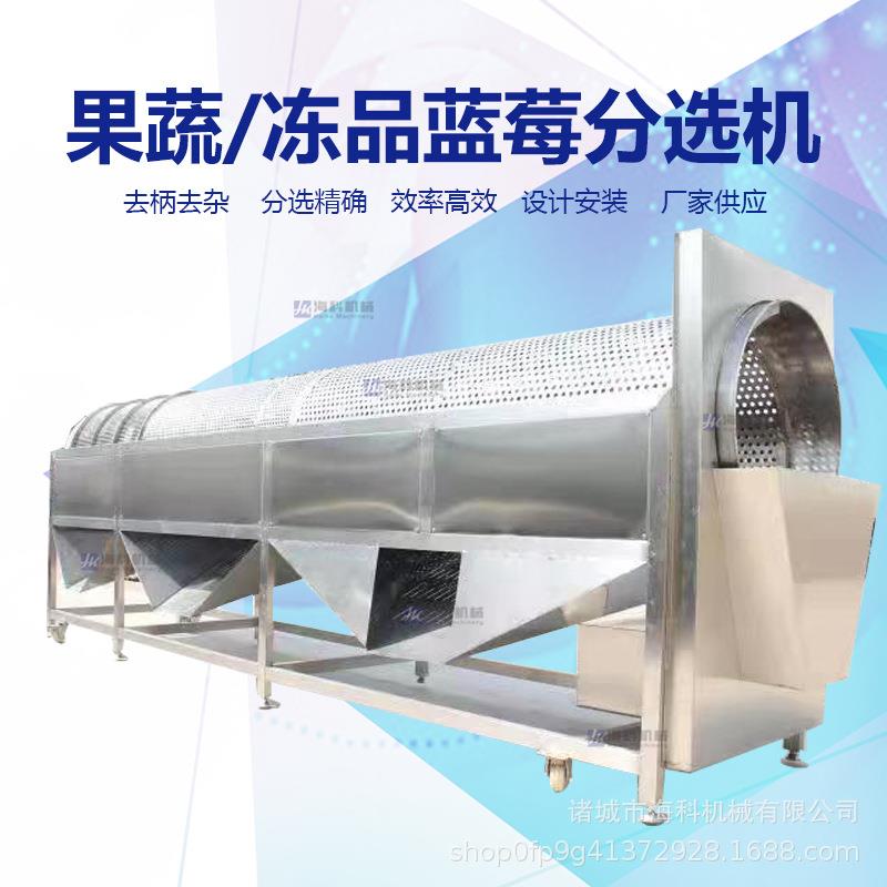 大型果蔬滚筒分级机厂家优惠不锈钢高效率冻蓝莓菩提去柄选果机